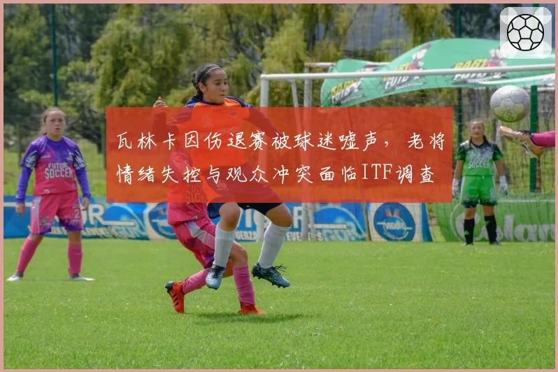 瓦林卡因伤退赛被球迷嘘声,老将情绪失控与观众冲突面临ITF调查