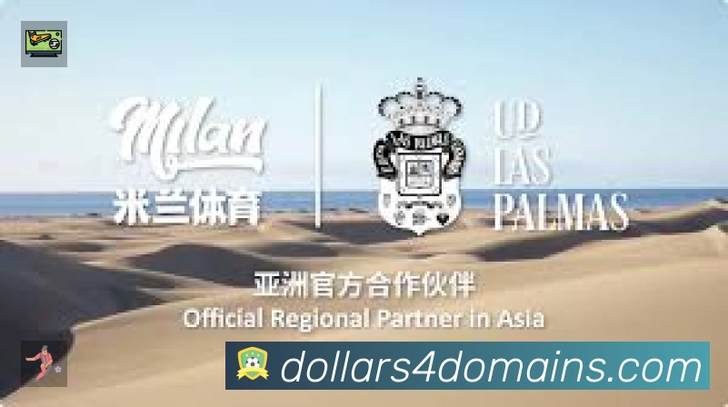 奖项证书